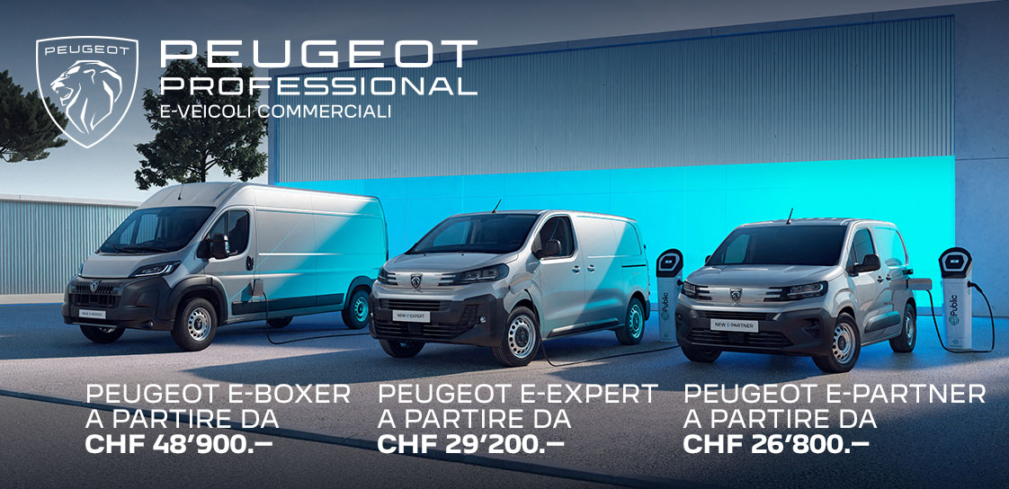 PEUGEOT PROFESSIONAL