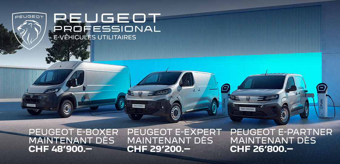 PEUGEOT PROFESSIONAL